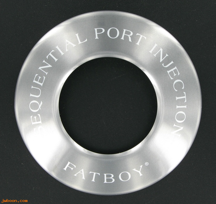   29666-01 (29666-01): Insert, air cleaner "Sequential Port Injection - Fatboy" - NOS