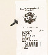   10200147 (10200147): Screw, 10-24 x 3/4" Torx button head Sems - NOS