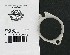   27059-05A (27059-05A): Flange - mounting - NOS