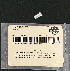   42368-79 (42368-79): Clevis pin, rear brake - NOS - Sportster Ironhead XL 1979.AMF H-D