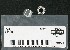       7985 (    7985): Nut, 5/16"-24 - rear turn signal bar - NOS - FXD, Dyna 02-03