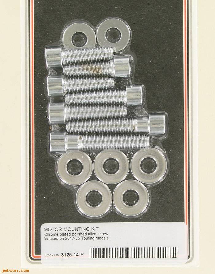 C 3125-14-P (): Motor mounting kit, polished allen screws - Touring models '17-