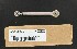   N0617.01A1A (N0617.01A1A): Rod assembly, shifter linkage - NOS